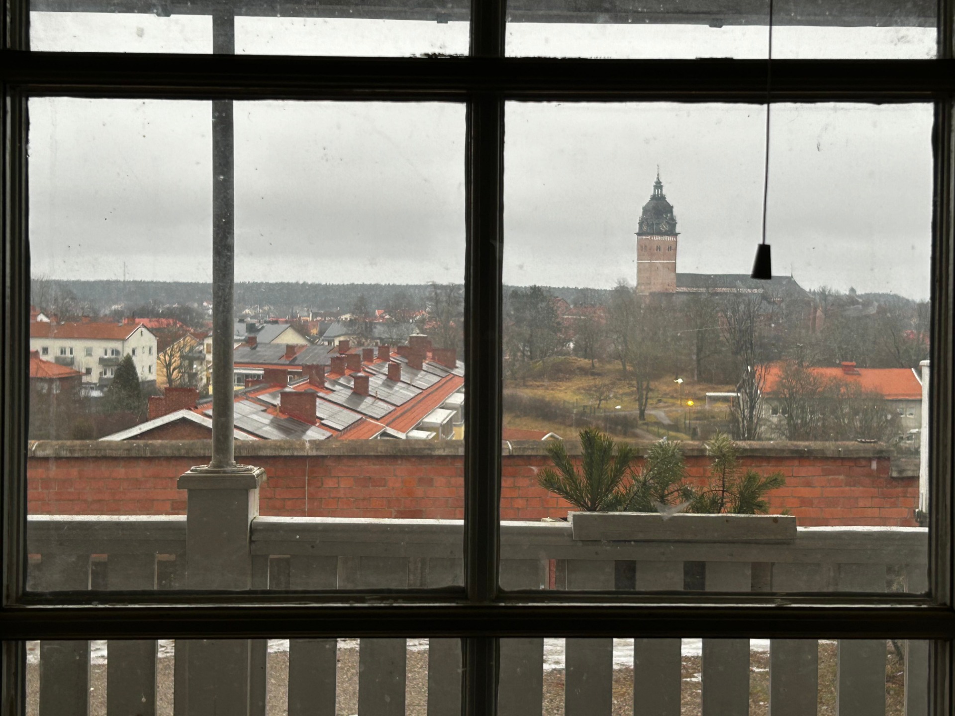 Skogshyddans trädgård